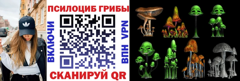 Псилоцибиновые грибы GOLDEN TEACHER  Купить где  Холмск 